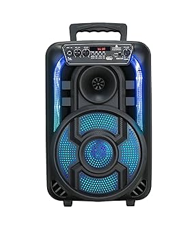 Prenosni punjivi Bluetooth zvučnik CH-831