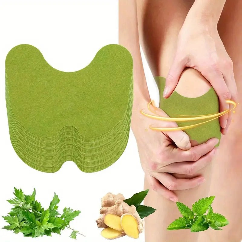 HerbalHeat Biljni Flasteri za Ublažavanje Bolova 1+1 GRATIS