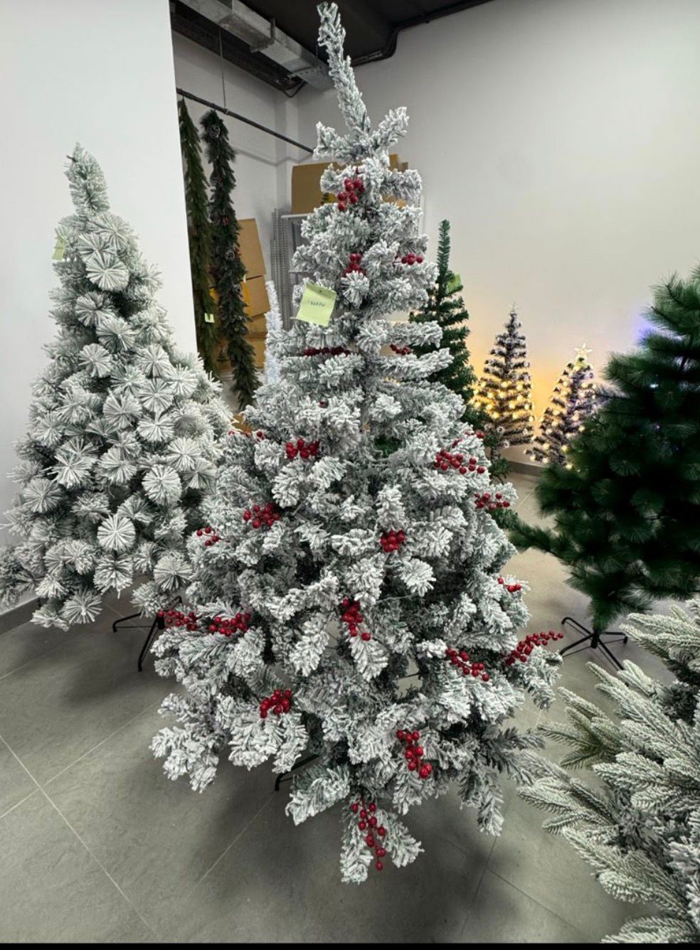 Novogodisnja Jelka Bela